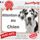 Dogue Allemand arlequin, plaque portail "Attention au Chien" photo Danois blanc taches noires, résiste intempéries
