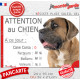 Cane Corso fauve marron masque noir, plaque portail humour "Attention au Chien, Nombre de Voleurs, ballons, facteurs" photo