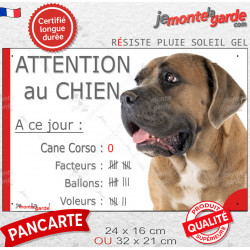 Cane Corso fauve marron masque noir, plaque portail humour "Attention au Chien, Nombre de Voleurs, ballons, facteurs" photo