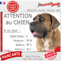 Cane Corso fauve, plaque humour "Nombre de Voleurs, ballons, facteurs, Attention au Chien" 2 tailles E