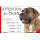 Cane Corso fauve marron masque noir, plaque portail humour "Attention au Chien, Nombre de Voleurs, ballons, facteurs" photo