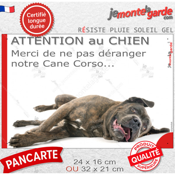 Plaque portail humour "Attention au Chien, Merci de ne pas déranger notre Cane Corso" Italiano bringé photo résiste intempéries