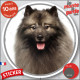 Keeshond Spitz-Loup, sticker rond "photo" résiste intempéries, voiture maison avec grand photo