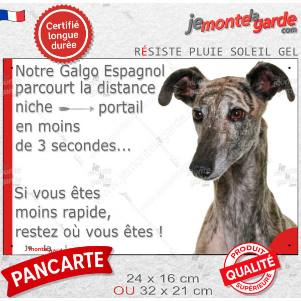 Lévrier Galgo Espagnol bringé, plaque extérieure humour "parcourt distance Niche-Portail moins 3 secondes, rapide" photo chien