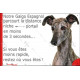 Lévrier Galgo Espagnol bringé, plaque extérieure humour "parcourt distance Niche-Portail moins 3 secondes, rapide" photo chien