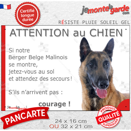 Berger Belge Malinois Tête, Panneau humour "Attention au Chien, jetez-vous au sol, attendez du secours !" photo drôle plaque