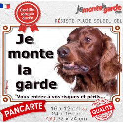 Setter Irlandais, plaque portail "Je Monte la Garde, entrez à vos risques et périls" photo résiste intempéries