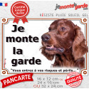 Setter Irlandais, plaque portail "Je Monte la Garde, risques périls" 3 tailles LUX E