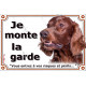 Setter Irlandais, plaque portail "Je Monte la Garde, entrez à vos risques et périls" photo résiste intempéries