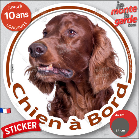 Setter Irlandais marron acajou, sticker autocollant rond "Chien à Bord" adhésif photo vitre voiture, résiste pluie soleil gel, i