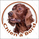 Setter Irlandais marron acajou, sticker autocollant rond "Chien à Bord" adhésif photo vitre voiture