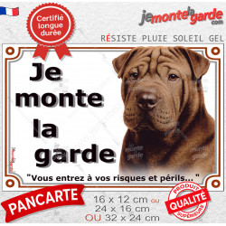 Shar-Peï marron chocolat, plaque portail "Je Monte la Garde, risques périls" photo Sharpei brun résiste intempéries