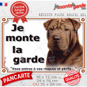 Shar-Peï marron chocolat, plaque portail "Je Monte la Garde, risques périls" 3 Tailles LUX D