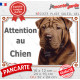 Shar-Peï marron chocolat, plaque portail "Attention au Chien" photo Sharpei brun résiste intempéries