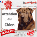 Shar-Peï marron chocolat, plaque portail photo extérieure "Attention au Chien" 3 tailles LUX D
