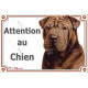 Shar-Peï marron chocolat, plaque portail "Attention au Chien" photo Sharpei brun résiste intempéries