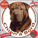 Shar-Peï marron chocolat, disque photo autocollant voiture "Chien à Bord" 2 tailles D
