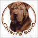 Shar-Peï marron chocolat, disque photo autocollant "Chien à Bord" Sticker adhésif rond vitre voiture résiste intempéries
