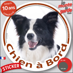 Border Collie noir et blanc poils longs, sticker autocollant rond "Chien à Bord" Disque adhésif vitre voiture auto photo