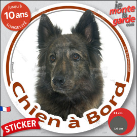 Berger Hollandais bringé poils longs Tête, sticker autocollant rond "Chien à Bord" Disque photo adhésif voiture auto vitre, rési