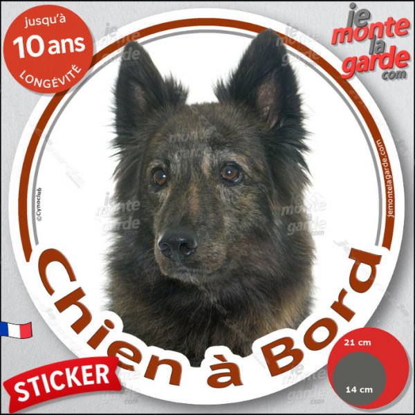 Berger Hollandais bringé poils longs Tête, sticker autocollant rond "Chien à Bord" Disque photo adhésif voiture auto vitre