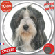 Bearded Collie Barbu gris ardoise et blanc, sticker autocollant rond "photo" Disque adhésif résistant intempéries