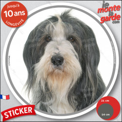 Bearded Collie Barbu gris ardoise et blanc, sticker autocollant rond "photo" Disque adhésif résistant intempéries