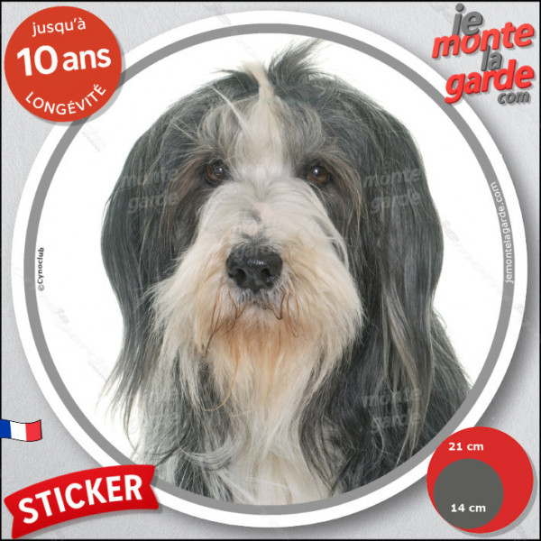Bearded Collie Barbu gris ardoise et blanc, sticker autocollant rond "photo" Disque adhésif résistant intempéries