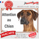 Rhodesian Ridgeback, plaque portail photo "Attention au Chien" résiste intempéries