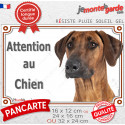 Rhodesian Ridgeback, plaque portail "Attention au Chien" 3 tailles LUX E
