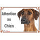 Rhodesian Ridgeback, plaque portail photo "Attention au Chien" résiste intempéries
