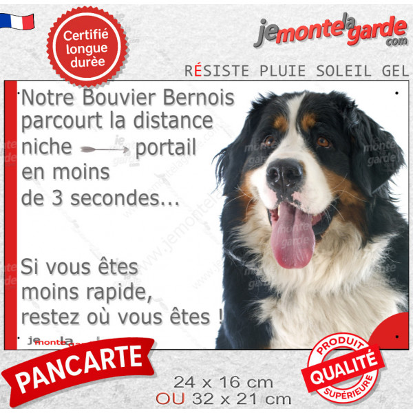 Bouvier Bernois, plaque Portail humoristique" parcourt distance niche portail moins 3 secondes" photo résiste intempéries