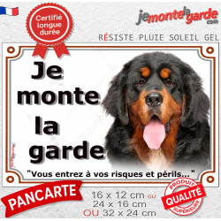 Dogue du Tibet noir et feu, plaque portail extérieure "Je Monte la Garde, Risques et périls" Chien photo résiste intempéries