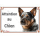 Bouvier Australien Bleu moucheté, plaque portail "Attention au Chien" photo Bleu merle résiste intempéries