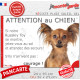 Russkiy Toy fauve, petit chien russe marron, plaque portail humour "Attention au Chien, Jetez Vous au Sol, attendez secours"