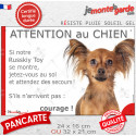 Russkiy Toy fauve, plaque humour "Attention au Chien, Jetez Vous au Sol" 2 tailles JET E