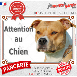 American Staffordshire Terrier fauve, plaque portail "Attention au Chien" photo Amstaff Staff résiste intempéries
