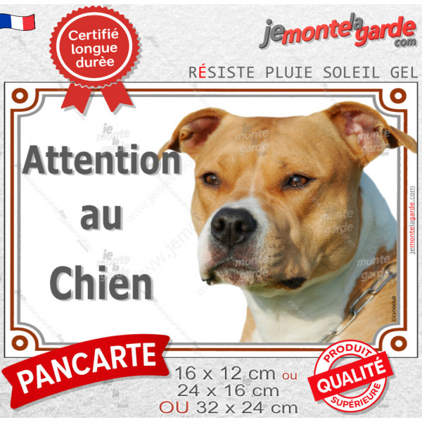 American Staffordshire Terrier fauve, plaque portail "Attention au Chien" photo Amstaff Staff résiste intempéries