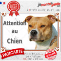 Amstaff fauve, plaque portail photo "Attention au Chien" 3 tailles LUX E