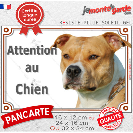 American Staffordshire Terrier fauve, plaque portail "Attention au Chien" photo Amstaff Staff, résiste pluie soleil gel, idée ca