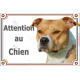 American Staffordshire Terrier fauve, plaque portail "Attention au Chien" photo Amstaff Staff résiste intempéries