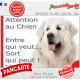 Plaque portail humour Montagne des Pyrénées tout blanc "Attention au Chien, Entre qui veut, sort qui peut" photo patou drôle
