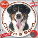 Bouvier Suisse Tête, sticker autocollant voiture rond "Chien à Bord" Disque adhésif photo race vitre voiture