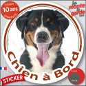 Bouvier Suisse, sticker rond photo voiture "Chien à Bord" 2 tailles E