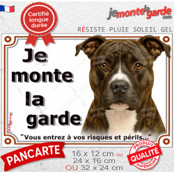 Amstaff bringé, plaque portail extérieure "Je Monte la Garde, entrez à vos risques et périls" photo American Staff