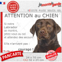 Labrador Chocolat, plaque humour "Attention au Chien, Jetez Vous au Sol" 2 tailles JET E