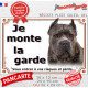 Cane Corso bleu gris Tête, plaque portail "Je Monte la Garde, risques et périls" pancarte photo panneau oreilles coupées taillée
