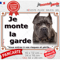Cane Corso bleu gris Tête, plaque portail "Je Monte la Garde, risques et périls" pancarte photo panneau oreilles coupées taillée