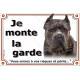 Cane Corso bleu gris Tête, plaque portail "Je Monte la Garde, risques et périls" pancarte photo panneau oreilles coupées taillée