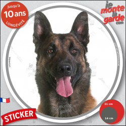 Malinois, disque autocollant rond "photo" résiste intempéries, 2 tailles D